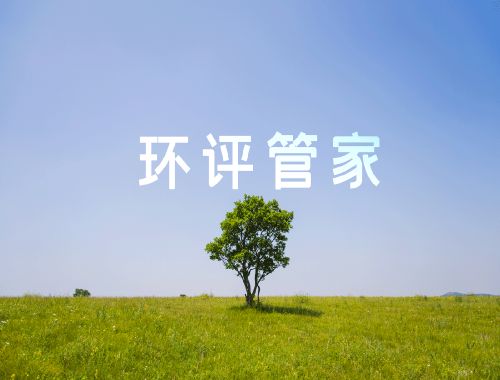 环保咨询服务